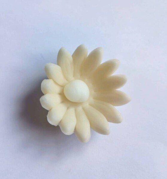 Dortisimo Cukrová sedmikráska malá béžová (25 ks)