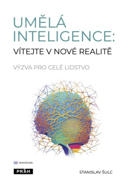 Umělá inteligence - Stanislav Šulc - e-kniha