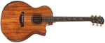 Taylor 924ce-K 50th Anniversary + Circa 74 amp Limited Edition