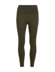 Dámské merino legíny ICEBREAKER Wmns 260 Fastray II 25 High Rise Tights, Dark Loden velikost: S