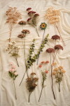 Ib Laursen Umělá květina Sienna Flowers 60 cm, oranžová barva, plast