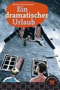 Ein dramatischer Urlaub - Martina Gattermann