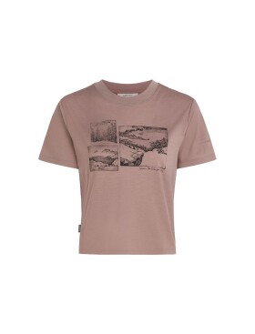 ICEBREAKER Wmns 150 Tech Lite SS Tee Journey, Summit (vzorek) velikost: S