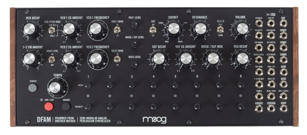 Moog DFAM