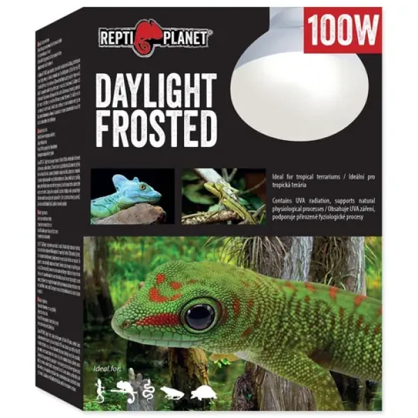 Repti Planet žárovka Daylight Frosted 100W (007-41024)