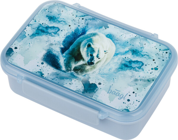 BAAGL Box na svačinu s přihrádkami Polar