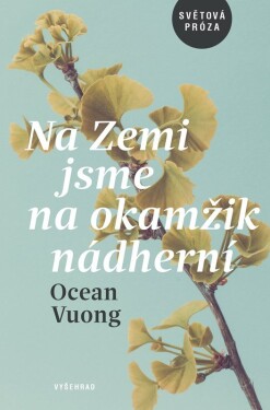 Na Zemi jsme Na okamžik nádherní Ocean Vuong