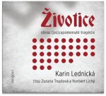 Životice: obraz (po)zapomenuté tragédie Karin Lednická