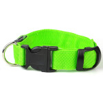 Small svítící obojek pro psy | 28 - 43 cm Barva: Oranžová, Obvod krku: 33 - 43 cm