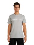 ICEBREAKER Mens Mer 150 Tech Lite SS Tee Massif, Proto Grey velikost: XXL