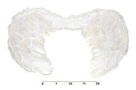 Andělská křídla 33x51 cm, Wiky, W880280