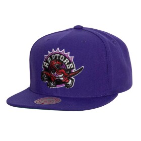 Mitchell & Ness Pánská kšiltovka Toronto Raptors NBA Conference Patch Snapback Hardwood Classics