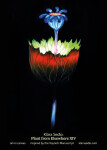 Plant from elsewhere XIV