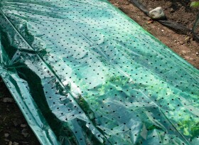 Plastia Fólie k ochraně rostlin, zelená 10 x 1,5 m PL