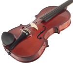 Pierre Marin Amadeus Violin Set 4/4