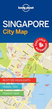 WFLP Singapore City Map 1st edition - autorů kolektiv