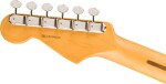 Fender American Professional Classic Stratocaster HSS MN Faded Lake Pl