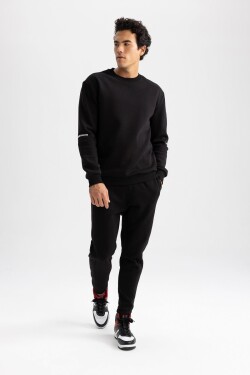 DEFACTO Fit Standard Fit Crew Neck Sweatshirt