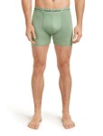 Pánské merino boxerky ICEBREAKER Mens Anatomica Boxers, Seaglass velikost: XL