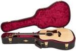 Taylor Legacy 810e