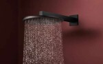 HANSGROHE - Raindance Alive S Hlavová sprcha, průměr 30 cm, matná černá 24520670