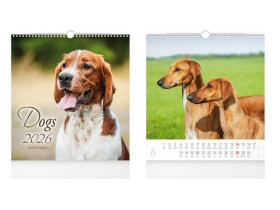 Dogs 2026 - nástěnný kalendář