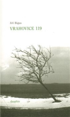 Vrahovice 119 Jiří Bigas