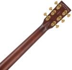 Tanglewood TE5BL