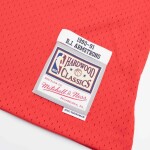 Mitchell & Ness Pánský dres Chicago Bulls NBA B.J. Armstrong #10 1990-91 Swingman Velikost: L