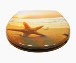 Schütte SEA STAR | Duroplast, Soft Close 4008431823737