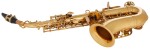 Bacio Instruments BSS-100C