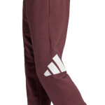 Kalhoty adidas Essentials Big Logo French Terry M JE8972 XL