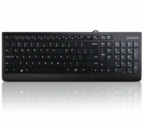 Lenovo 300 černá / Drátová klávesnice / CZ layout / 1x USB-A (GX30M39663)