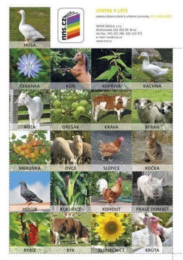 Pexeso Statek v létě (Já můj svět 2)