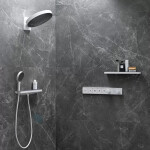 HANSGROHE - Rainfinity Sprchová hlavice 130, 3 proudy, chrom 26864000