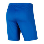 Dětské šortky Jr BV6865 463 Tmavě modrá - Nike tmavě modrá XL