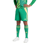 Šortky adidas Tiro 24 IT2414