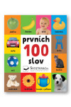 Prvních 100 slov
