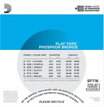 D'Addario EFT16