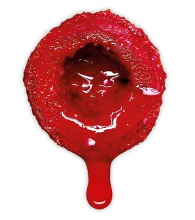 LK Baits Nutrigo Extra Spice Shrimp,LK Baits Nutrigo Extra Spice Shrimp