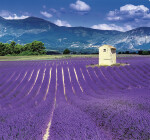 Nástěnný kalendář 2027 vázankový Helma Provence