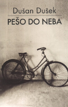 Pešo do neba - Dušan Dušek