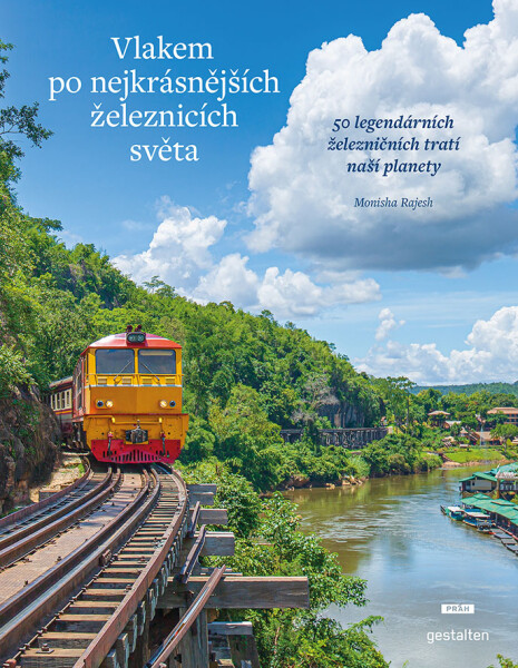 Děvče na ocet - Anne Tyler