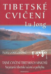 Tibetské cvičení Lu Jong cvičení