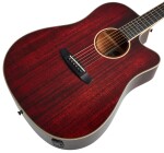 Tanglewood TW5 E R