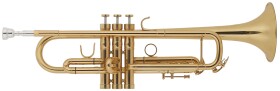 Bacio Instruments BTR-200GR