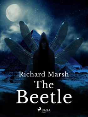 The Beetle - Marsh Richard - e-kniha