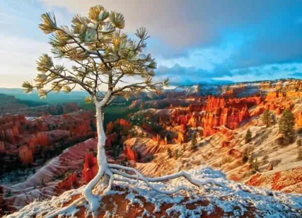 EUROGRAPHICS Puzzle Zimní svítání, Bryce Canyon