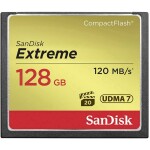 Transcend CompactFlash 64 GB Industrial TS64GCF170