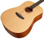 Tanglewood TWR2D